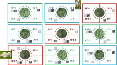 The interactive effect of grazing and fertilizer application on soil properties and bacterial community structures in a typical grassland in the central Inner Mongolia Plateau